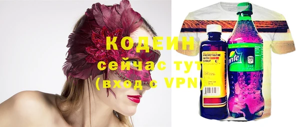 apvp Няндома