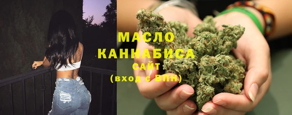 амф Новозыбков