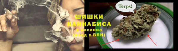 амф Новозыбков