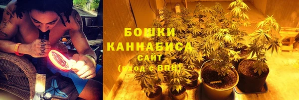 амф Новозыбков
