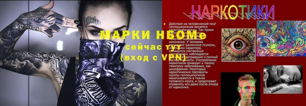 амф Новозыбков
