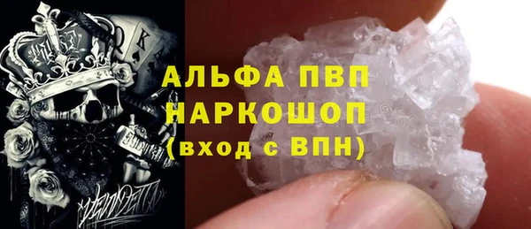 амф Новозыбков