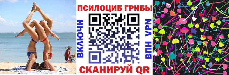 Галлюциногенные грибы прущие грибы  Людиново 